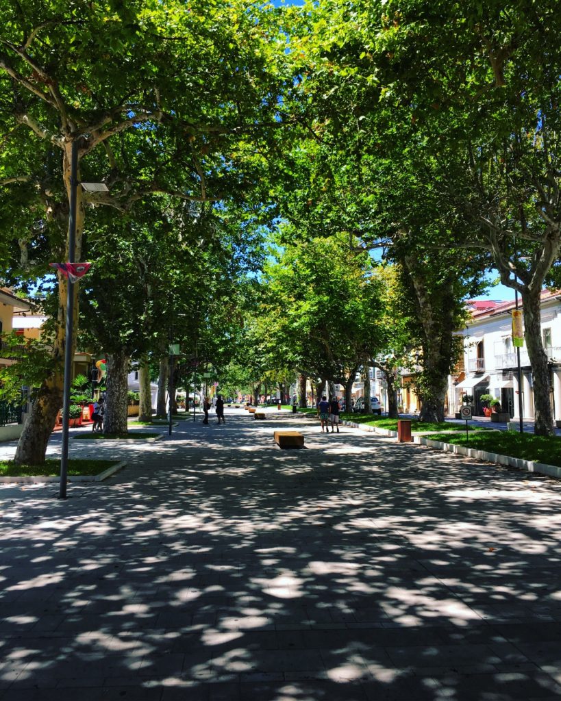 Viale-praia-a-mare-passeggiare-2